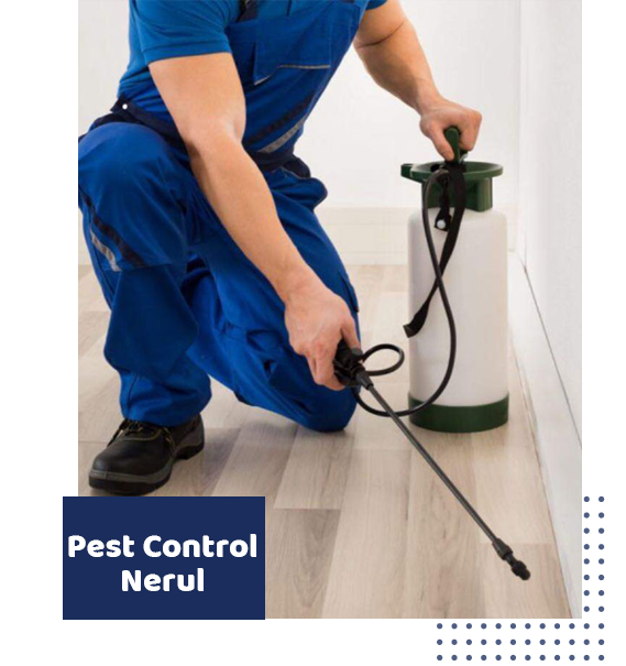 video popup bg image